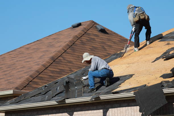 Best Skylight Installation and Repair  in St George, SC