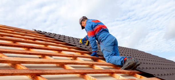 Best Sheet Metal Roofing  in St George, SC